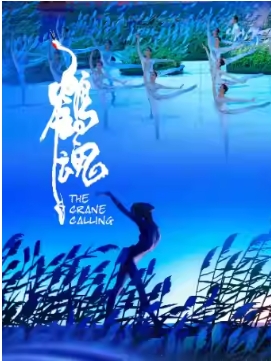  硶׻꡷ʮݳ